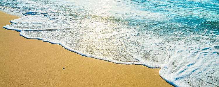 Куда можно сходить в Сочи? – 20 идей