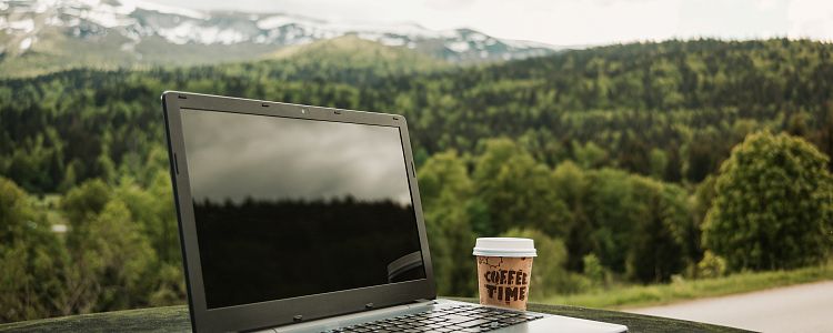 Коворкинг в горах: где в Сочи искать лучший вид для работы с ноутбуком