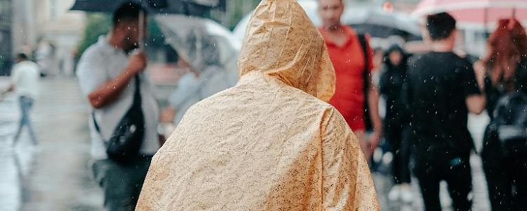 Когда лучше ехать в Сочи: месяцы, погода, цены и толпы