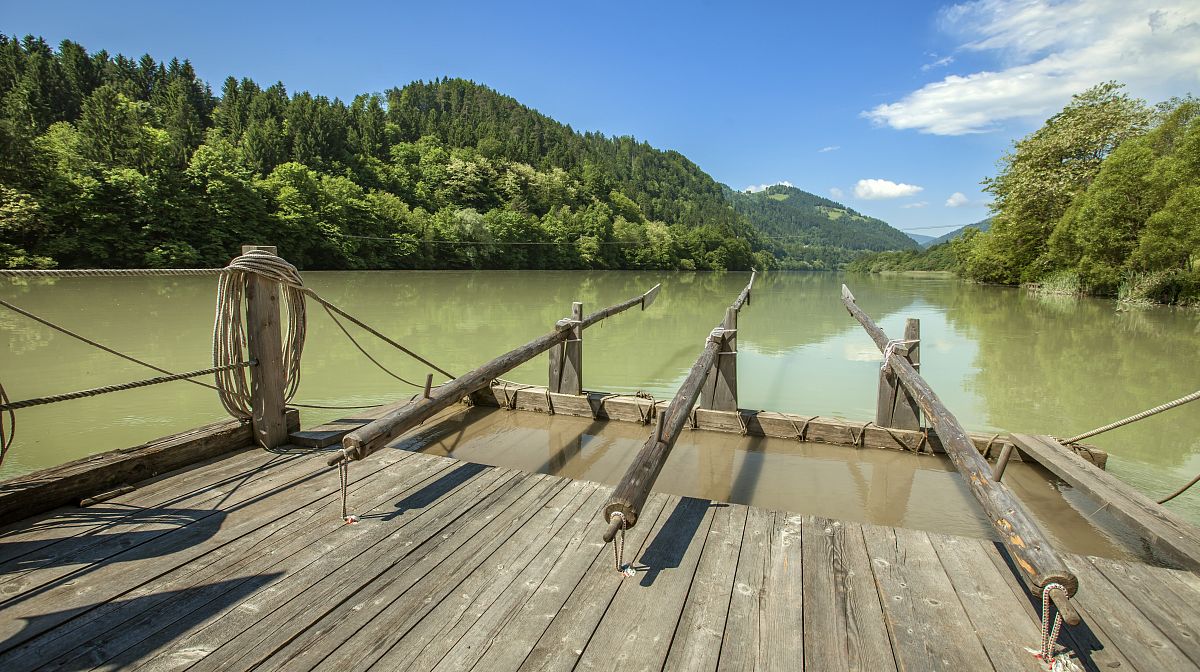 Форелевое хозяйство в Сочи: рыбалка, экскурсия, тропа от Скайпарка — фото 1